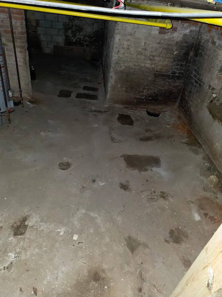 After: old brick basement cleaned out — Pioneer Valley Junk Removal job