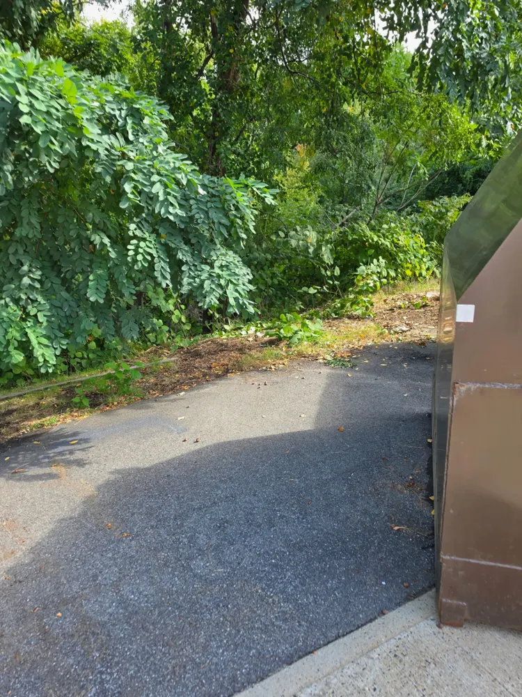 After: pallets hauled away from the charter school cleanout — Pioneer Valley Junk Removal job
