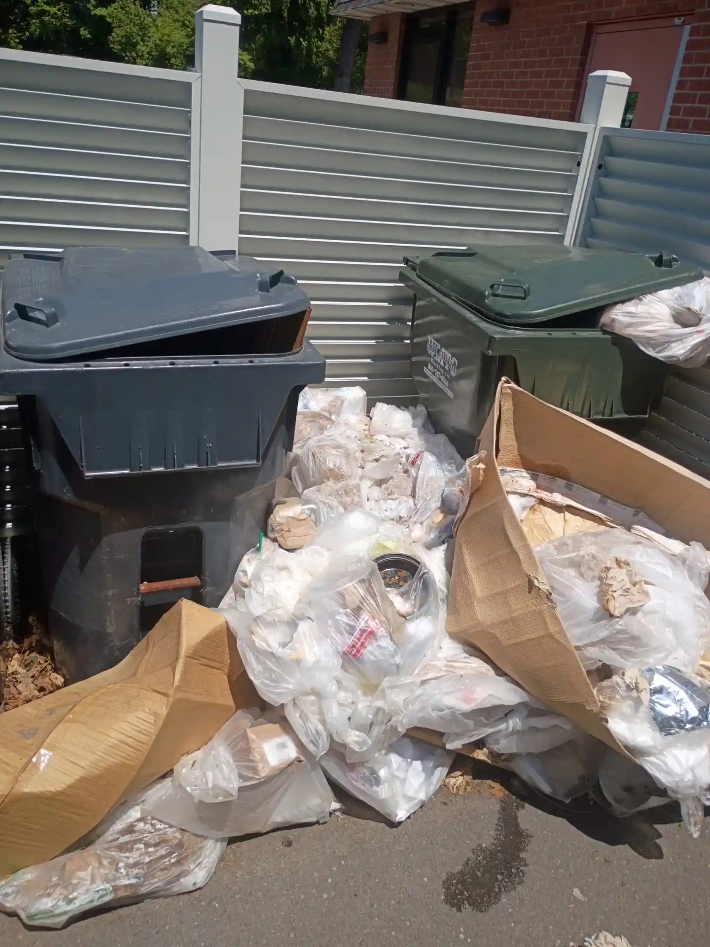 Pioneer Valley Junk Removal - Garage Cleanout Services in East Longmeadow, MA